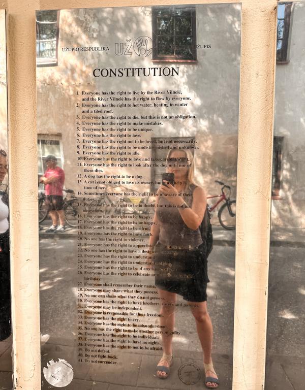 reflection in a mirrored constitution