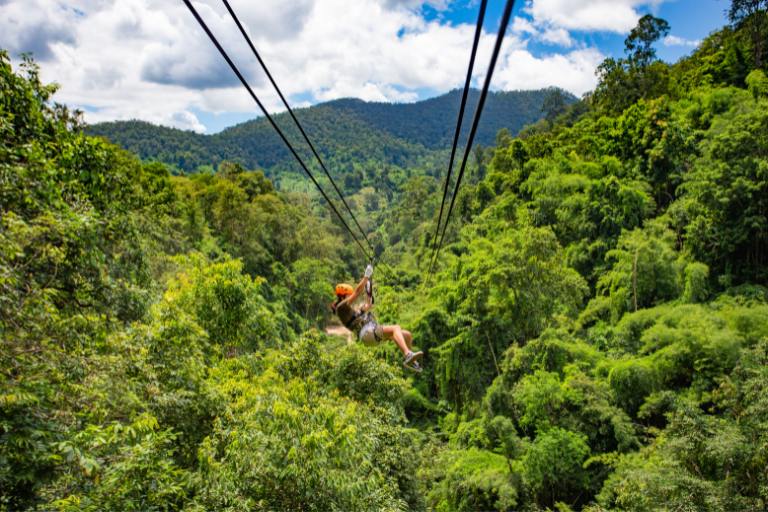 a person on a zip line in the forest