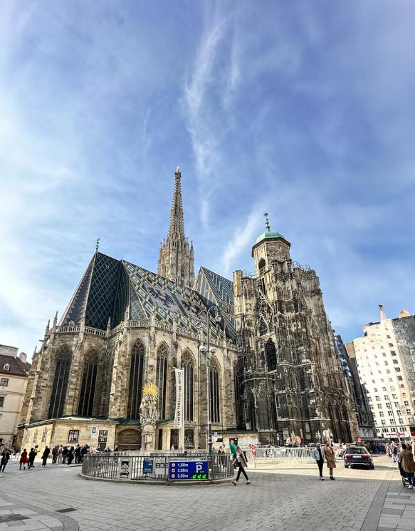 Stephansdom (st stephen's) cathedral back