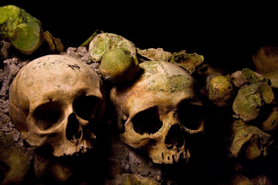 skulls at dark tourism sites