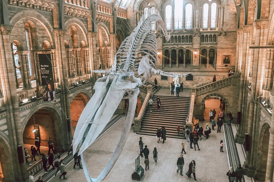 Visit Museums: 10 Great Reasons You Should Go