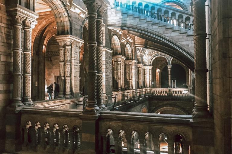 inside natural history museum