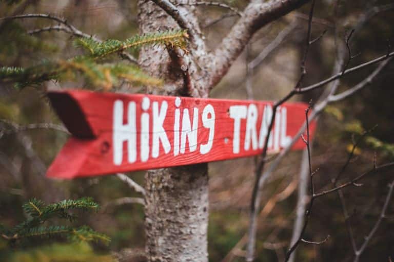 hiking trail sign in the woods