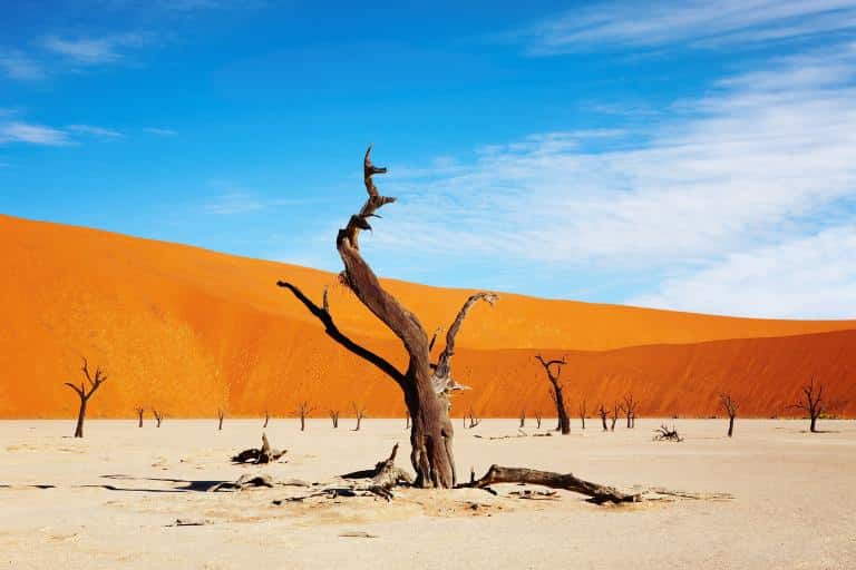 namib desert namibia