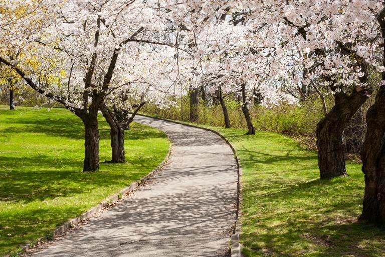 high park toronto