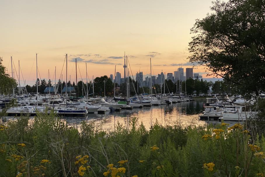 Tommy Thompson one of the best parks in Toronto