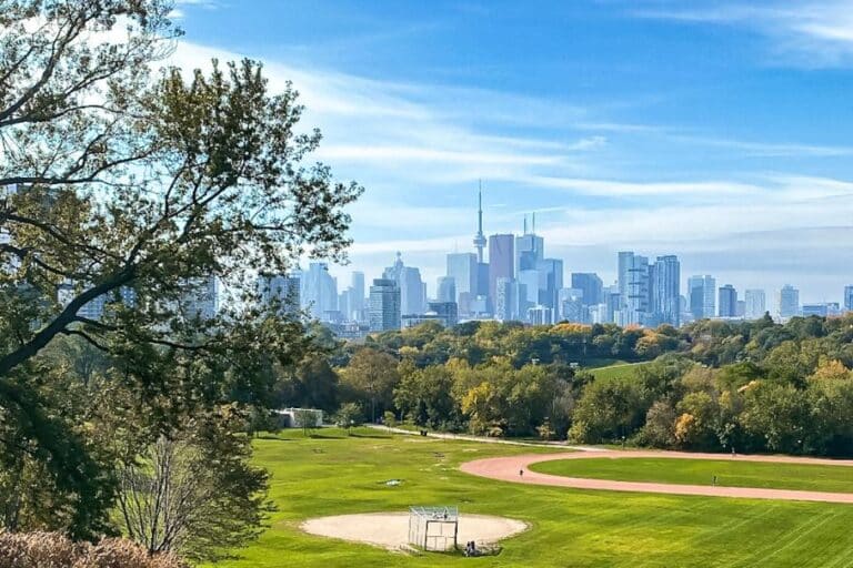 view of the toronto skyline | toronto nicknames
