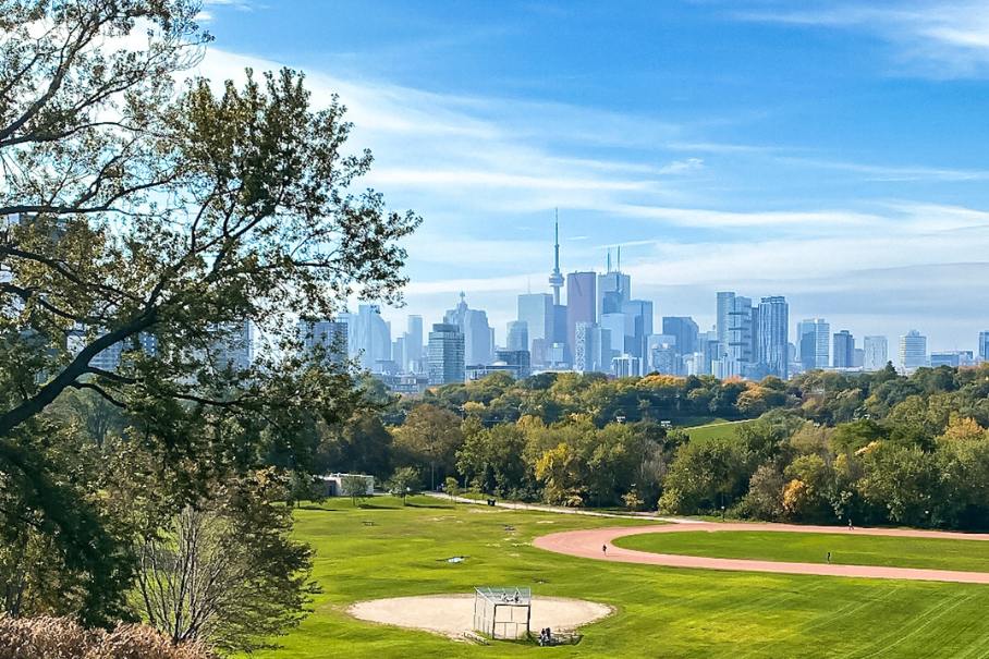 view of the toronto skyline | toronto nicknames