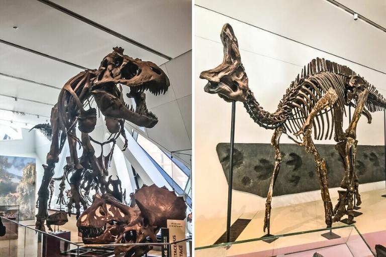 dinos at the ROM