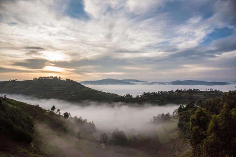 Bwindi Impenetrable Forest