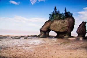 bay of fundy rocks