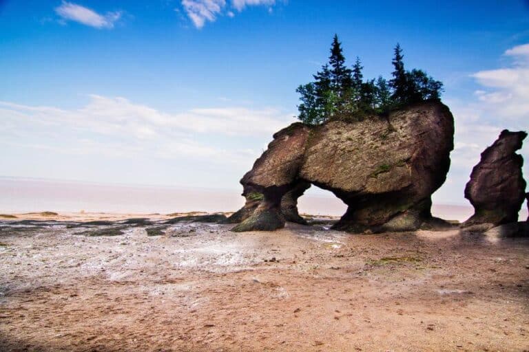bay of fundy rocks