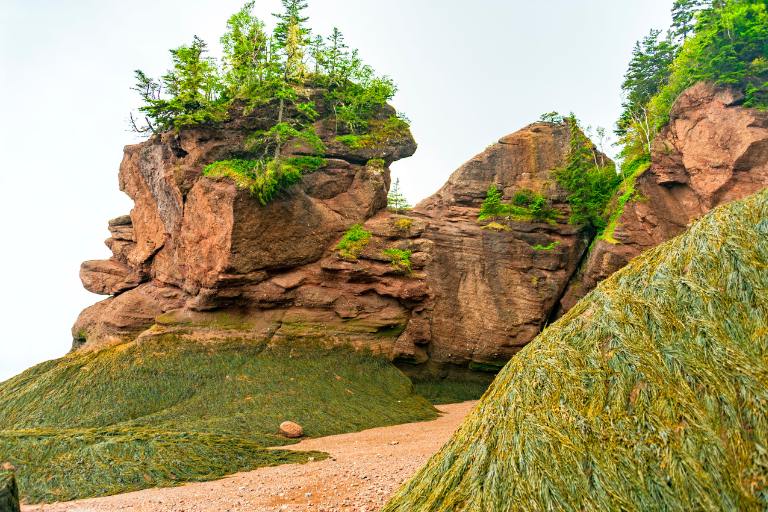 bay of fundy rocks