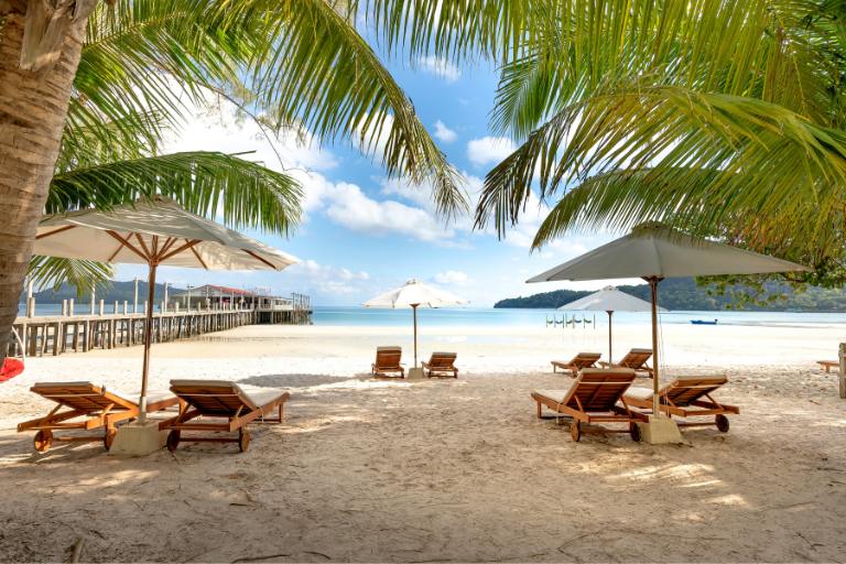 beach chairs and umbrellas on beach